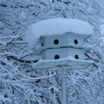 Bird House