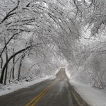 Snowy Road