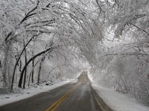 Snowy Road