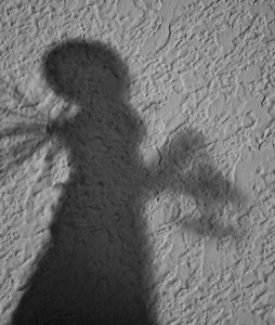Angel 1