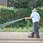Watering