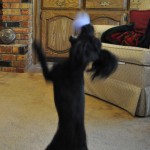 Lucy catching the ball in mid air
