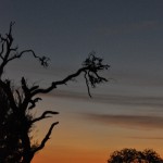 The colors of a sunset are breathtaking