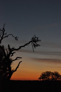 The colors of a sunset are breathtaking