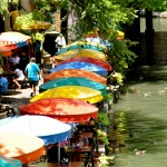 I love the colors of the umbrellas and all the ducks swimming by.