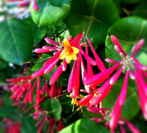 20120405-214731.jpg