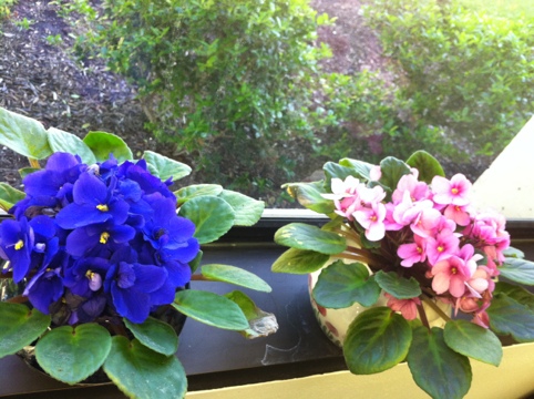 20120405-214939.jpg