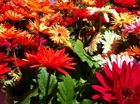 20120405-215102.jpg
