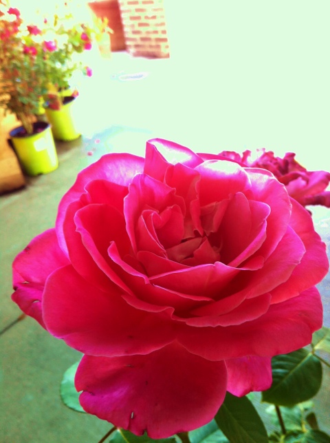 20120405-215118.jpg