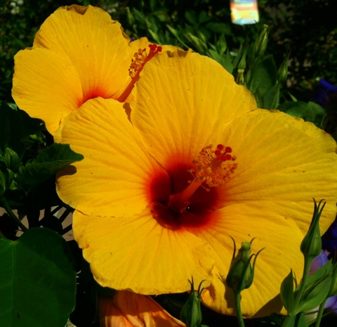 20120405-215124.jpg