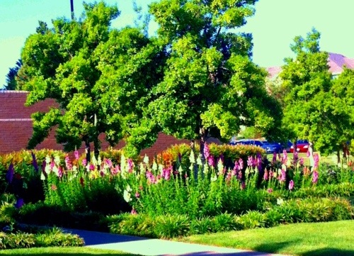 20120405-231658.jpg